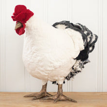 Load image into Gallery viewer, Little Twinkle