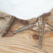 Load image into Gallery viewer, Little Twinkle