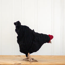 Load image into Gallery viewer, Little Jackson