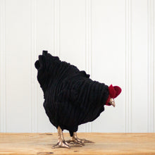 Load image into Gallery viewer, Little Jackson