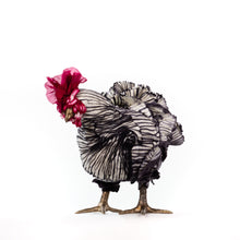 Load image into Gallery viewer, Little Peter