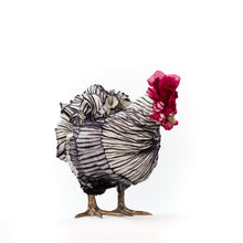 Load image into Gallery viewer, Little Peter