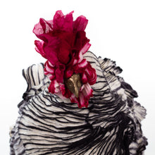 Load image into Gallery viewer, Little Peter