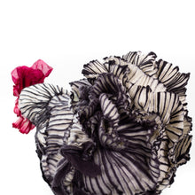 Load image into Gallery viewer, Little Peter