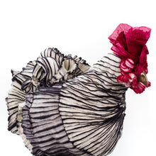 Load image into Gallery viewer, Little Peter