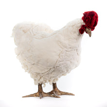 Load image into Gallery viewer, Kenny Penny