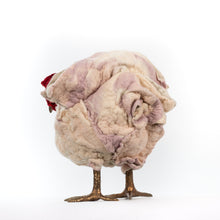 Load image into Gallery viewer, Little Midge