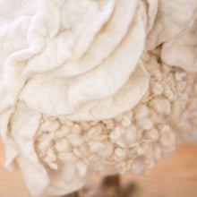 Load image into Gallery viewer, Little Sue