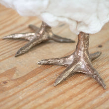 Load image into Gallery viewer, Little Anemone