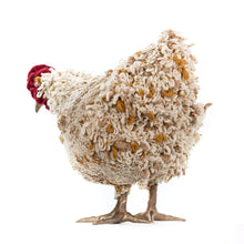 Load image into Gallery viewer, Selma Rose