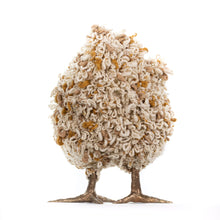 Load image into Gallery viewer, Selma Rose