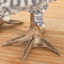 Load image into Gallery viewer, Little Sir Winston