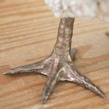 Load image into Gallery viewer, Little Spirea