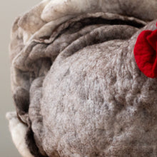 Load image into Gallery viewer, Little Bodega