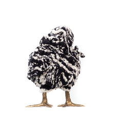 Load image into Gallery viewer, Little Oscar