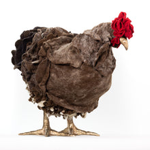 Load image into Gallery viewer, Montana