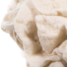 Load image into Gallery viewer, Ginger