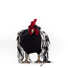 Load image into Gallery viewer, Little Wylie