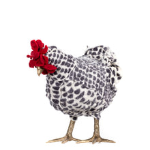 Load image into Gallery viewer, Little Harriet