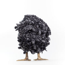 Load image into Gallery viewer, Little Lonny