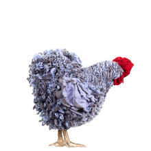 Load image into Gallery viewer, Little Glen Howard