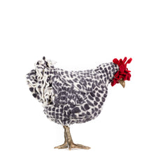 Load image into Gallery viewer, Little Harriet