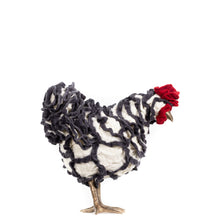 Load image into Gallery viewer, Little Rina